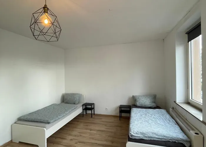 Flamingo 3 - In Stadtnaehe - Dueren *